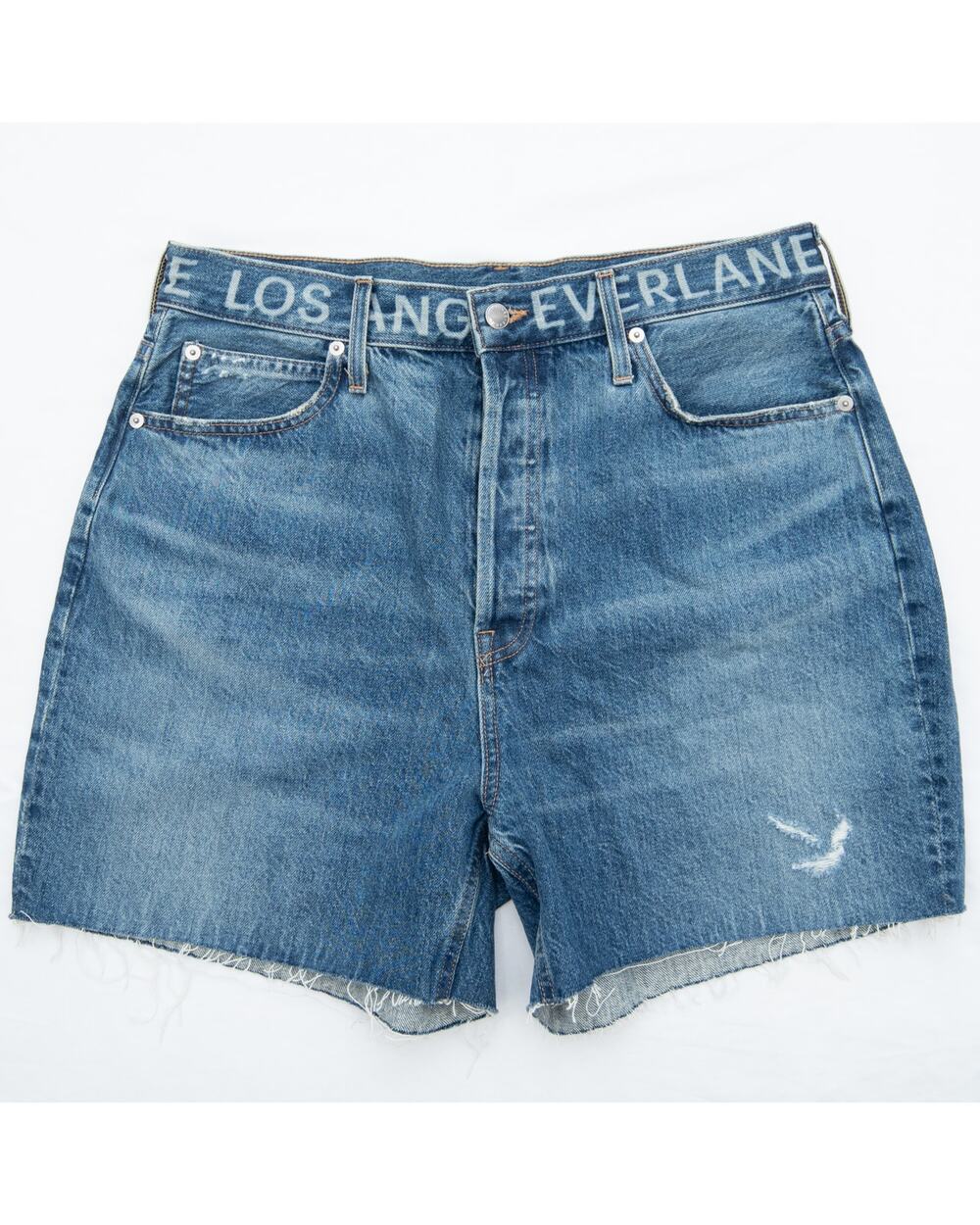 Everlane The Way-High® High Rise Raw Hem Jean Shorts Size 31